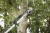 imgi_113_4932498626--App_5.jpg