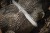imgi_109_4932498791--App_6.jpg