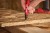 4932501147--App_4.jpg